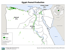 Egypt Production