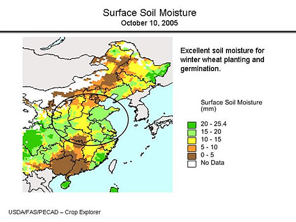 Soil Moisture Graphs - Surface Moisture.