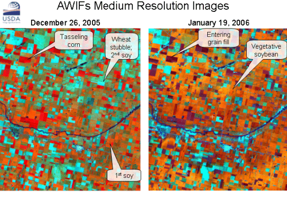 Medium resolution satellite imagery indicates that corn in Marcos Juarez was entering the tasselling stage at the end of December. The deeper shades of red in the AWIFs image show that much of the corn had already tasseled by January 19.  While significant precipitation was received following the heat wave, corn yield potential had already been reduced.