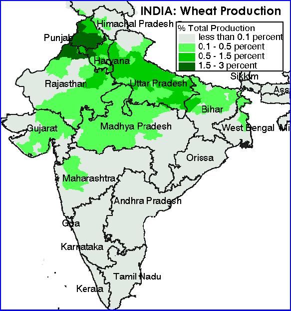 India wheat production.