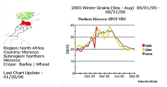 Northern Morocco - Winter Grains.