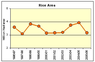 Rice Area
