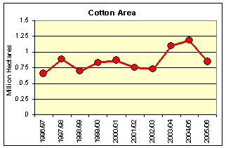 Cotton Area