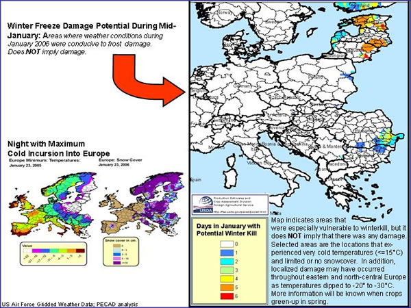 Winter Freeze Damage Potential During Mid-January: Map shows areas where weather conditions during January 2006 were conducive to frost damage.