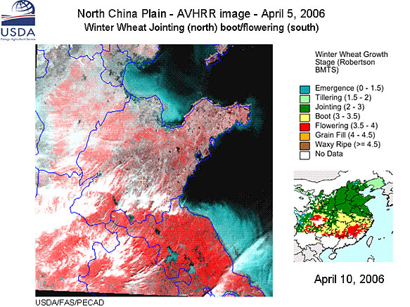 North China Plain - AVHRR image - April 5, 2006