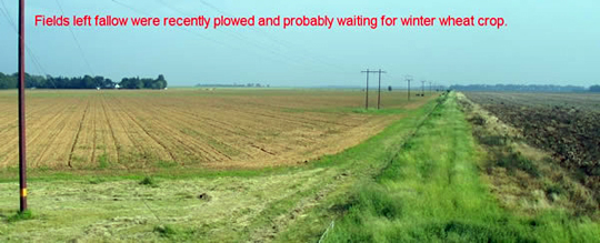 Fields left fallow were recently plowed and probably waiting for winter wheat crop.