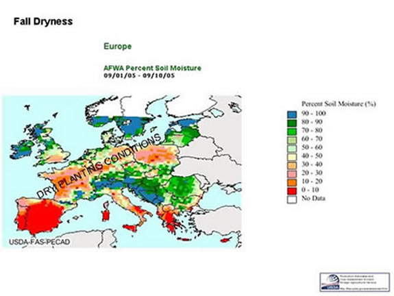 Dry conditions (less than ideal) existed over much of northern Europe last August when rapeseed was sown