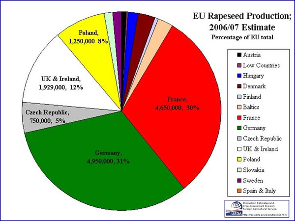 Pie chart showing rapeseed production by EU member state