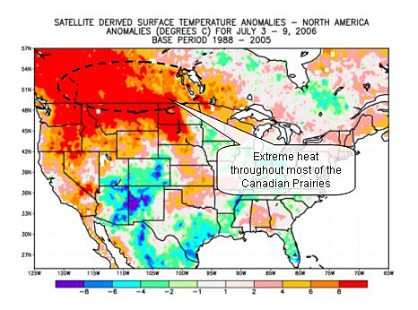 Surface temperature anomaly