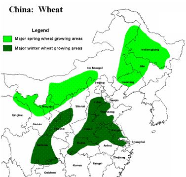wheat distribution map