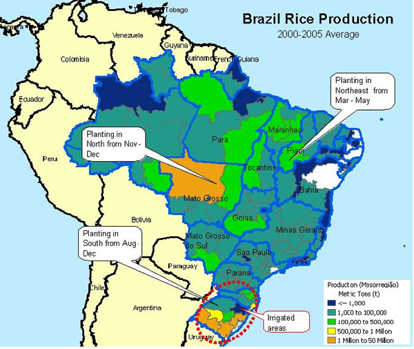 Map of rice production in Brazil