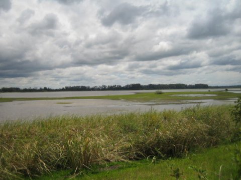 Photo of reservoir used to irrigate rice.