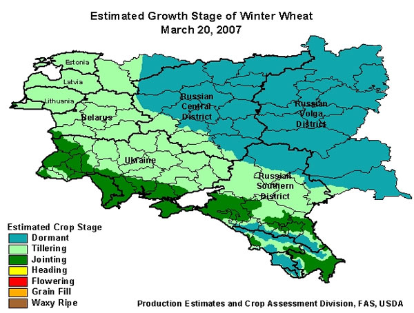 As of March 20, 2007, winter wheat had resumed vegetative growth throughout Ukraine.