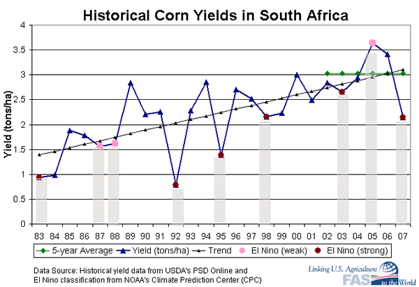 Strong El Niño years greatly reduce summer corn yields in South Africa