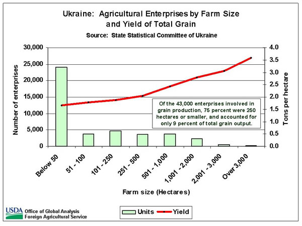 Of the 43,000 enterprises involved in grain production, 75 percent were 250 hectares or smaller, and accounted for only 9 percent of total grain output.  The total grain yield on the smallest enterprises (with fewer than 50 hectares) was less than half of the yield achieved on the largest enterprises.   Source:  State Statistical Committee of Ukraine.