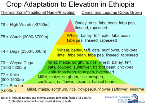 Crop Adaptation to Elevation in Ethiopia