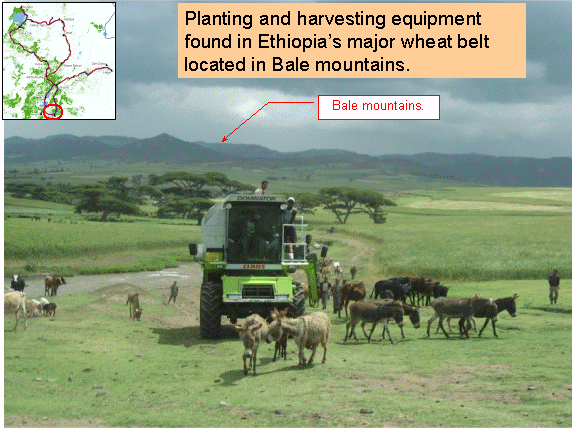 Equipment used in Bale Mountains