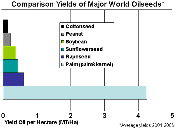 Bar chart depicting yields of major oilseeds