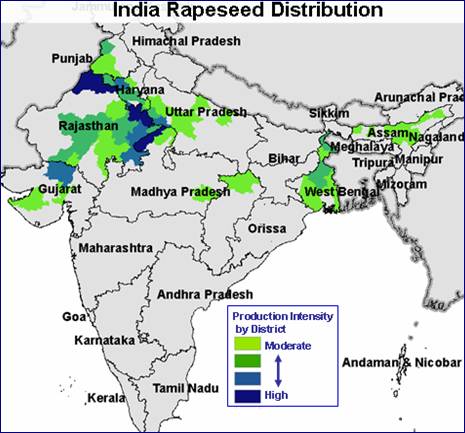 Map India Rapeseed Districts