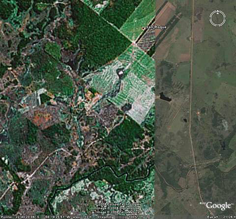 Satellite image shows fields in areas that were formerly forested