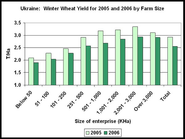Enterprises with total area between 251 and 1,000 hectares together account for over half of 2006 winter wheat output from agricultural enterprises.
