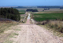 Caliche road within the Tosco region of Argentina near Tandil.