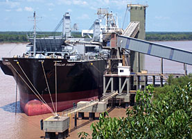 View of a Panamax loading from atop the Bunge building.