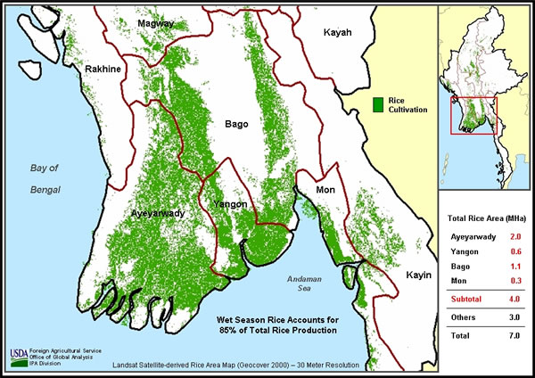 Burma Rice Distribution Map