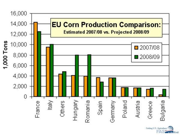Graph showing EU corn production comparison:  Projected 2008/09 is much higher than 2007/08 due primarily to expected better weather after last season's drought.