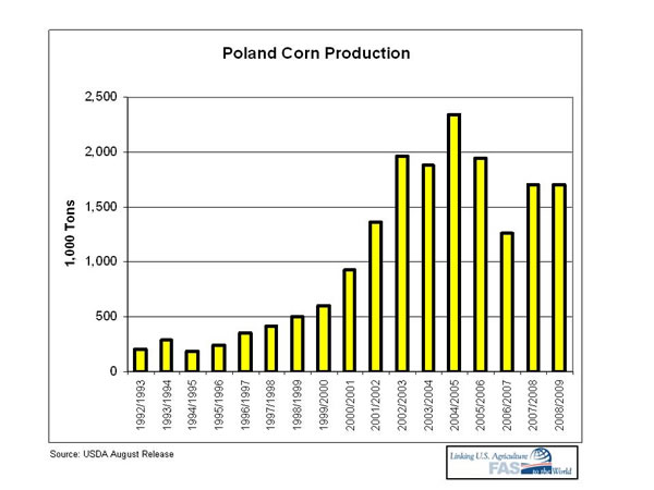 Graph showing corn production incerasing rapidly in the 10 years up to 2004/05; Then the crop began to decline slowly