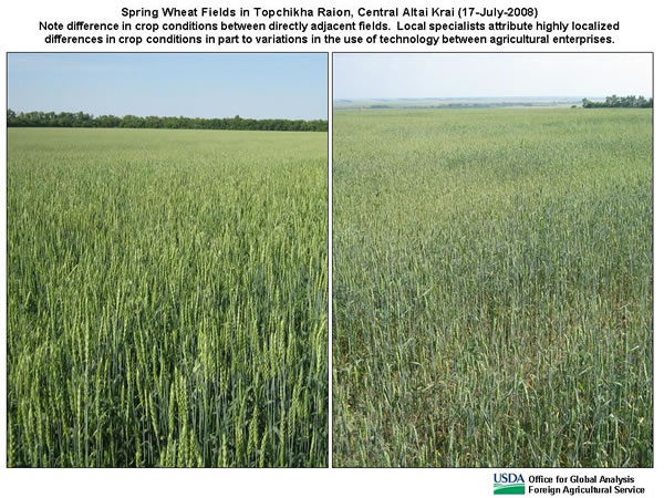 According to local specialists, variations in the use of technology between neighboring agricultural enterprises can contribute to highly localized differences in crop conditions.