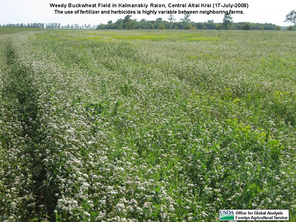 The use of fertilizer and herbicides is highly variable between neighboring farms.