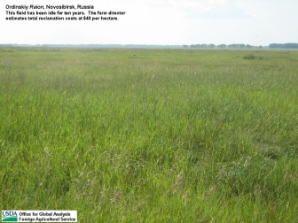 The estimated reclamation cost for idle fields in Siberia can be surprisingly low, only about $40 per hectare according to the director of a large agricultural enterprise in Novosibirsk.
