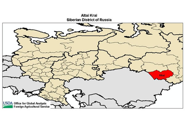 Altai Krai is located in western Siberia, directly south of Novosibirsk oblast and directly east of Kazakhstan.