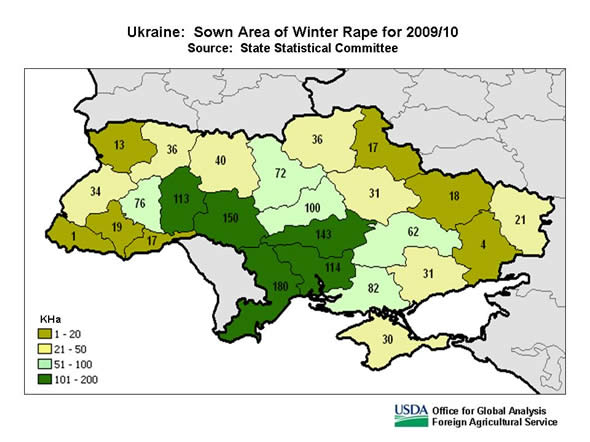 Last year, winter rape accounted for 97 percent of total rapeseed area in Ukraine.  Winter rape is grown throughout Ukraine, but mainly in the central territories.