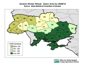Winter wheat is grown throughout Ukraine, but the country's main production zone lies in the central, southern, and eastern territories. 