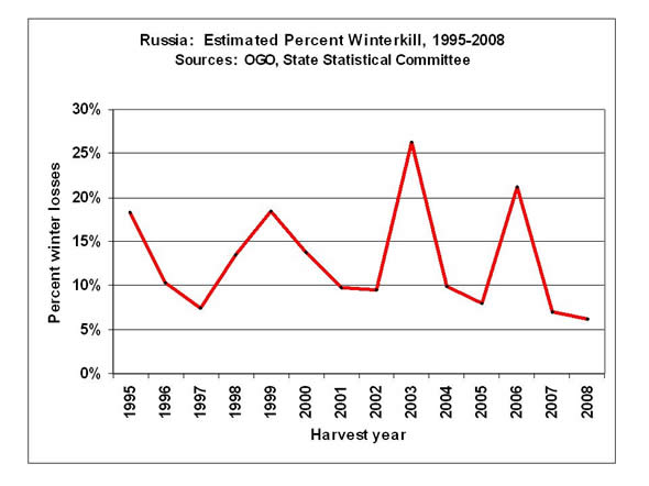Since 1996, winterkill in Russia has averaged 13 percent and ranged from 26 percent in 2003 to 6 percent in 2008.