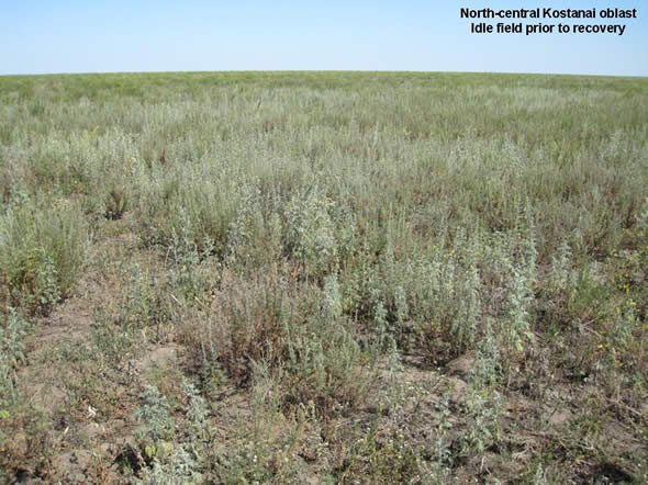 Because of the dry climate in northern Kazakhstan, even fields that have been idle for over five years have a relatively low cost of recovery due to the sparse natural vegetation.