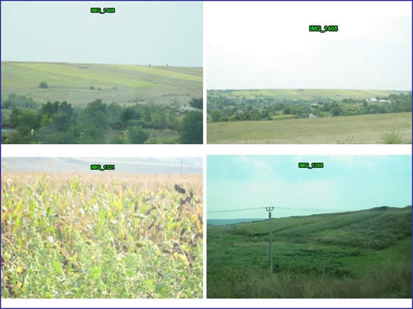 Crops were seen growing on steep slopes, without regard for contouring for erosion.