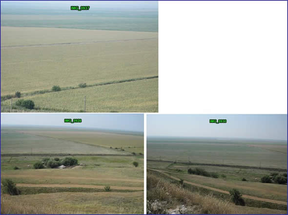 Southern Romania along the Danube River. High water tables and irrigated land.