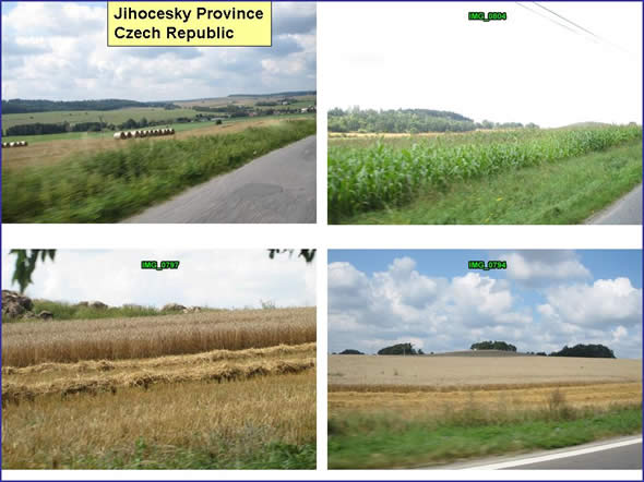 Pictures include scenes of baled hay, corn fields, and the summer barley harvest in Jihocesky Kraje, Southern Czech Republic. 