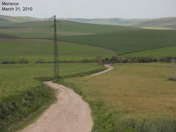 Moroccan grain fields; Picture taken on March 31, 2010