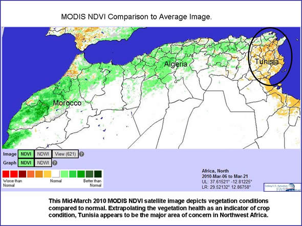 MODIS NDVI Satellite image showing Tunisia as being worse than normal for plant vigor.