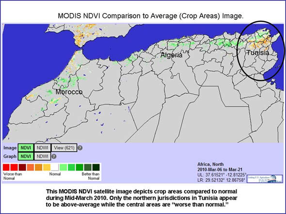 MODIS NDVI Satellite image showing Tunisia as being worse than normal for plant vigor.  Image concentrates on dominant crop areas.