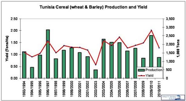 Tunisia Cereals Graph Showing Annual Production and Yield