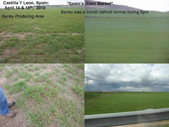 Grain growth was far behind schedule in Castilla Y Leon during mid-April 2010.