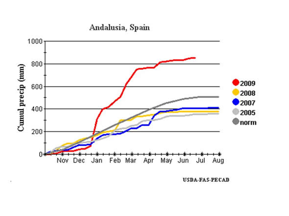 Andalucia Precipitation