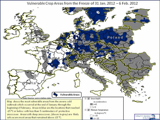 Map  shows the most vulnerable areas from the severe cold outbreak which occurred at the end of January through the beginning of February. Most vulnerable areas are the wheat and rapeseed areas of western Poland and eastern Germany.