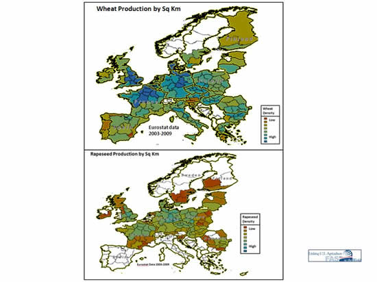 Maps showing primary wheat and rapeseed growing areas of Europe