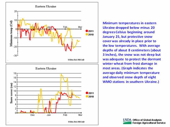Minimum temperatures in eastern Ukraine dropped below minus 20 degrees Celsius beginning around January 25, but protective snow cover was already in place prior to the low temperatures.  With average depths of about 8 centimeters (about 3 inches), the snow was not deep but was adequate to protect the dormant winter wheat from frost damage in most areas